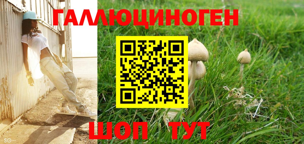 Галлюциногенные грибы мицелий Ейск