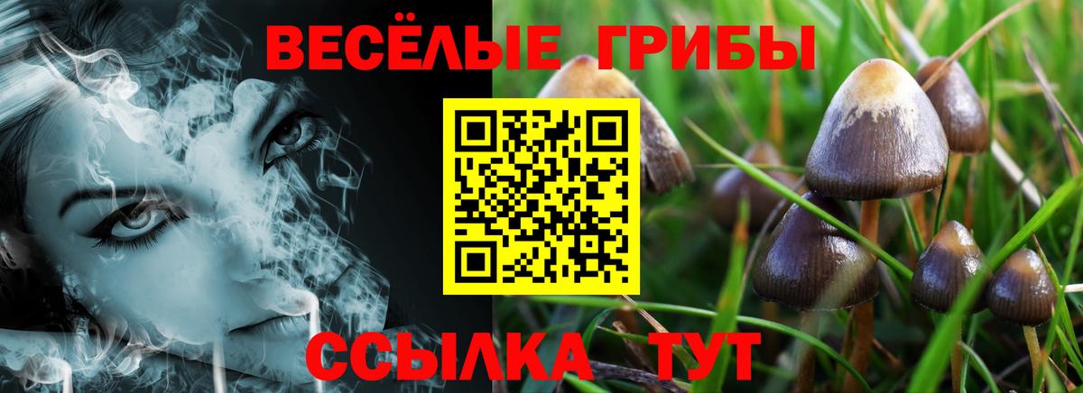 Ейск  Псилоцибиновые грибы прущие грибы  Галлюциногенные грибы мицелий  Вход с VPN 